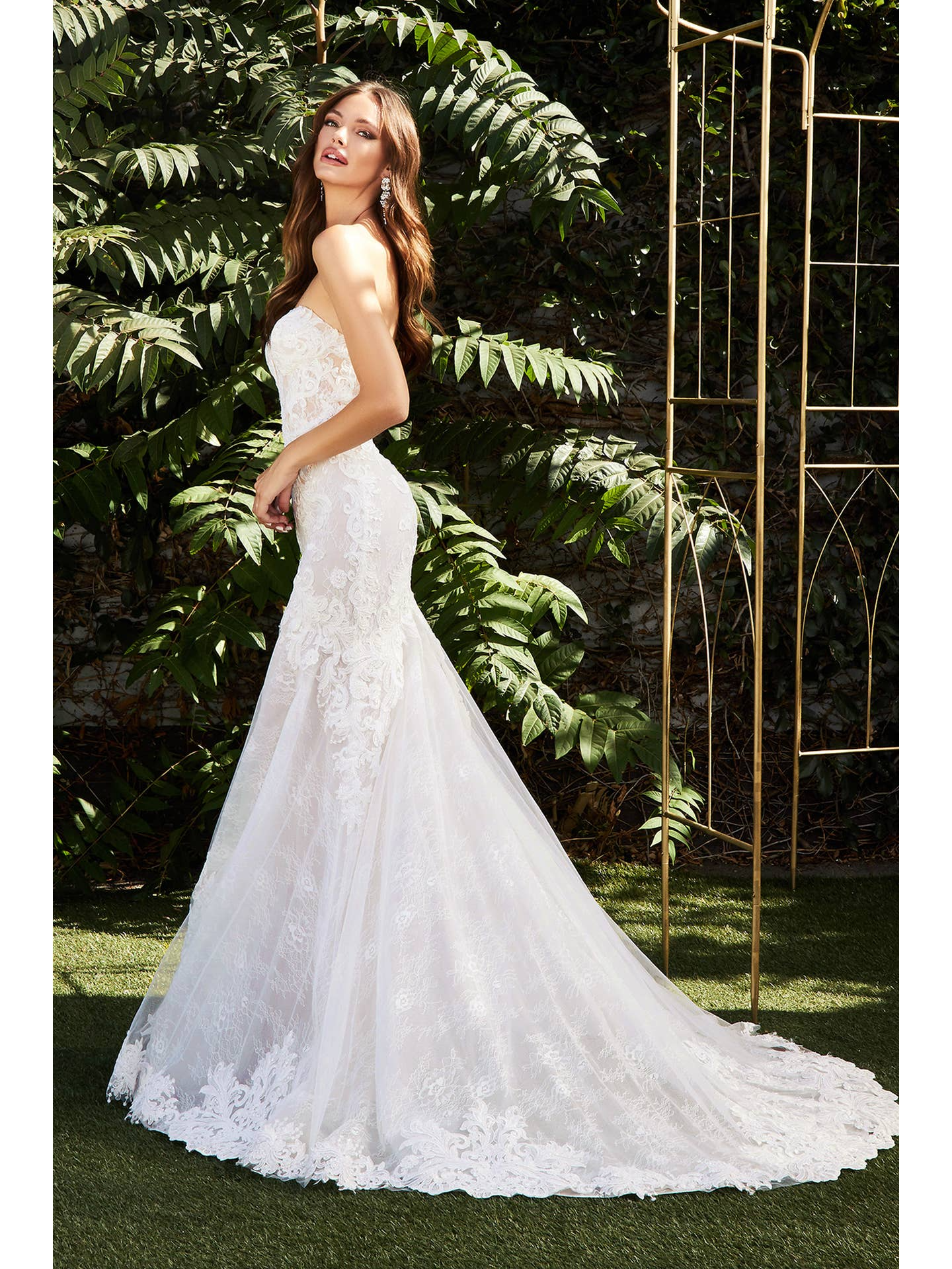 Charlotte Gown